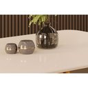 Ver imagem 2 de Conjunto: Mesa Sala Jantar Celeste c/ Tampo Madeirado c/ Vidro Curvo 120x90cm e 4 Cadeiras Talia
