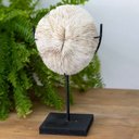 Ver imagem 1 de Escultura Coral Decorativo no Pedestal Importado de Bali