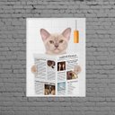 Ver imagem 1 de Quadro Gato No Banheiro Com Jornal 33x24cm - com vidro:Madeira branca