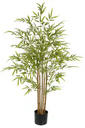 Ver imagem 1 de Planta Árvore Artificial Bambu Real Toque C/Pote X1050 Verde 1,20m