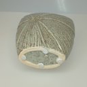 Ver imagem 6 de Vaso Home&Co Prunevaso Decorativo Cachepô Enfeite  20x17x9cm Cerâmica Marfim