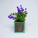 Ver imagem 1 de Folhas de Eucalipto com Vaso Transparente - Violeta