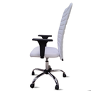 Ver imagem 3 de Cadeira Escritório Presidente Branco Executiva Ergonômica Apoio Lombar Nr17 Giratória Rodízios