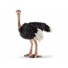 Miniatura De Avestruz Schleich - 1