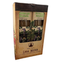 Incenso Linha Mistica 0% Patchouli Manjericão 12 Cxs C/8 Var - 1