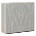 Ver imagem 1 de Armário Luciane 80cm 2 Portas Luci