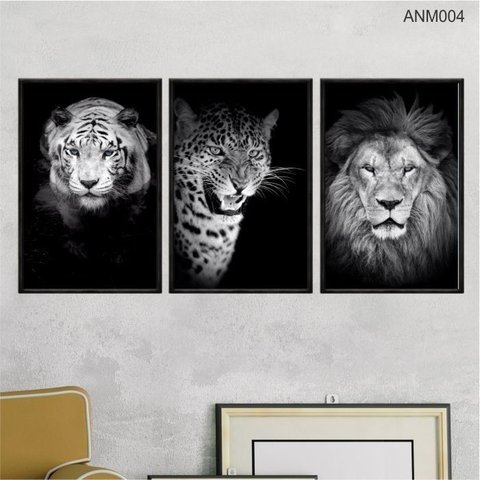 Kit 03 Quadros Decorativos - Ferozes e Felinos Anm004 - Canvas 60x80cm
