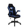 Cadeira Gamer Pelegrin Pel-3011 Preta e Azul - 1
