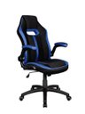 Ver imagem 1 de Cadeira Gamer Pelegrin Pel-3011 Preta e Azul