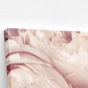 Ver imagem 3 de Quadro Peônia Rosa Bege Flor Fotografia Canvas 100x70cm