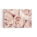 Ver imagem 1 de Quadro Peônia Rosa Bege Flor Fotografia Canvas 100x70cm