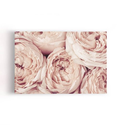 Quadro Peônia Rosa Bege Flor Fotografia Canvas 100x70cm