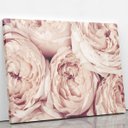 Ver imagem 2 de Quadro Peônia Rosa Bege Flor Fotografia Canvas 100x70cm