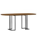 Ver imagem 1 de Mesa de Jantar 6 Lugares Retangular Orgânico 180cm Pés Industrial Alina N01 Cinamomo Preto - Lyam de