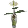 PLANTA ARTIFICIAL COM VASO DE VIDRO - 27 CM - 1