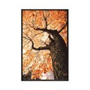 Ver imagem 1 de Quadro Decorativo - Planta Folhas Outono Laranja Flnt068 - Tela Canvas - 60x40cm