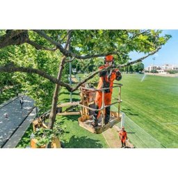 Motosserra a Gasolina Husqvarna T435, Sabre 12, 1,9 HP - 3