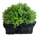 Ver imagem 1 de 6 Galhos Artificiais de Eucalipto para Arranjos Florais e Decoração