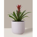 Ver imagem 1 de Vaso Cachepô de Cerâmica para Plantas Branco ME
