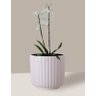 Vaso Cachepô de Cerâmica para Plantas Branco ME - 3
