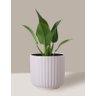Vaso Cachepô de Cerâmica para Plantas Branco ME - 6