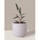Ver imagem 5 de Vaso Cachepô de Cerâmica para Plantas Branco ME