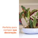 Ver imagem 4 de Vaso Bacia Safira Mármore 10 Terrano