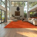 Ver imagem 1 de Tapete Elegant Terracotta 250x300cm Tapetes São Carlos