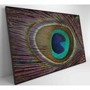 Ver imagem 4 de Quadro Penas De Pavão 60x40 Cm Adesivo Fotográfico