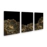 Quadro Decorativo Moderno Trio Flores Douradas Preto Sala - 1