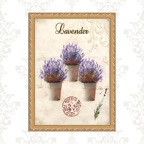 Quadro Moldura Dourada Vasinhos de Lavanda 24x18cm:com Vidro