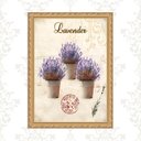 Ver imagem 1 de Quadro Moldura Dourada Vasinhos de Lavanda 24x18cm:com Vidro