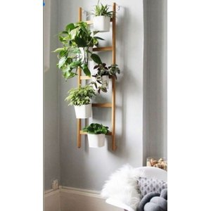 Treliça Bastão para Jardim Vertical Vasos e Plantas 100 X 45 Cm