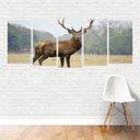 Ver imagem 1 de Quadro Animais Veado Vermelho Cervídeo Herbívoro em Canvas