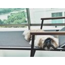 Ver imagem 4 de Espreguiçadeira Moderna Braços de Madeira Assento Encosto Tela Sling e Aluminio Preto