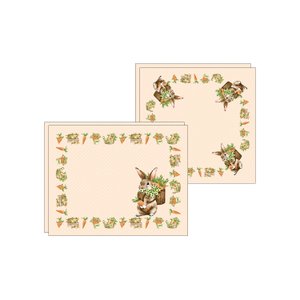 Kit Jogo Americano + Guardanapo Cenoura/salmão - 2 Peças