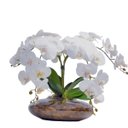 Ver imagem 1 de Arranjo Flores 4 Orquídeas Brancas Toque Real Vaso Grande