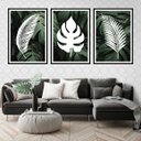 Ver imagem 1 de Kit 3 Quadros Folhas Tropicais Branco 24x18cm - com vidro:Madeira preta