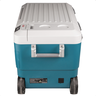 Cooler Refrigerador e Aquecedor 50l sem Bateria sem Carregador Cw002gz Makita - 7