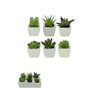 Planta Artificial Suculenta Com Vaso Cerâmica Kit 6 Unidades - 2