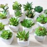 Planta Artificial Suculenta Com Vaso Cerâmica Kit 6 Unidades - 1