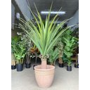 Ver imagem 7 de Vaso para Planta Grande Decoração Sala Varanda Jardim (liso/bege)