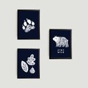 Ver imagem 1 de Kit 3 Quadros Urso Escandinavo Stay Wild 24x18cm - com vidro:Madeira preta