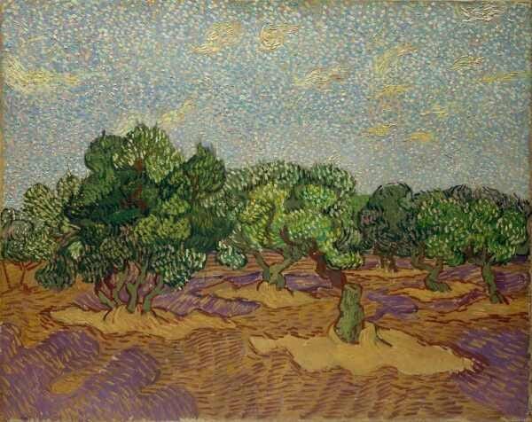 Oliveiras em Flor - van Gogh - Tela 50x63 Para Quadro - 1