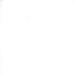 Carpete Autolour Bege com Resina 2,00 X 2,00m (4m²) - 3