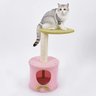 Arranhador Gato Pet Felino Animais Casinha Brinquedo 5 Modos Descanso Escala Sisal Aconchegante Conf - 15