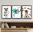 Ver imagem 1 de Kit Composição 3 Quadros Clinica Veterinária Pet Shop 45x34cm:madeira Preta