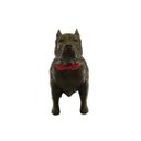 Ver imagem 4 de Pitbull Macho Orelha Cortada com Gravata Miniatura Decoração 3d:dourado