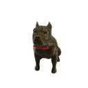 Ver imagem 6 de Pitbull Macho Orelha Cortada com Gravata Miniatura Decoração 3d:dourado