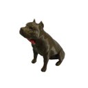 Ver imagem 2 de Pitbull Macho Orelha Cortada com Gravata Miniatura Decoração 3d:dourado